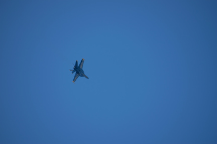 20220807-DSC 0376
