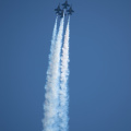 20220807-DSC 0404