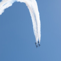 20220807-DSC 0411