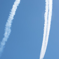 20220807-DSC 0414