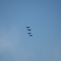 20220807-DSC 0428