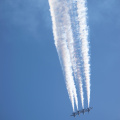 20220807-DSC 0439