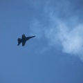 20220807-DSC 0479