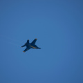 20220807-DSC 0481