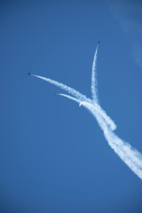 20220807-DSC 0492
