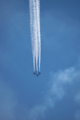 20220807-DSC 0515