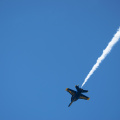 20220807-DSC 0527