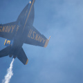 20220807-DSC 0530