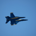 20220807-DSC 0535