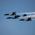 20220807-DSC 0544