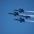 20220807-DSC 0547