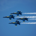 20220807-DSC 0549