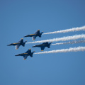 20220807-DSC 0552