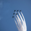 20220807-DSC 0563