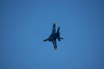 20220807-DSC 0608